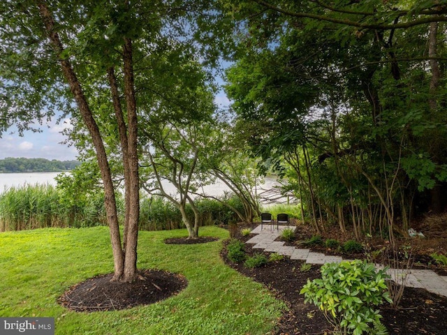 view of yard featuring a water view