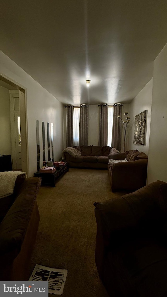 living area featuring carpet flooring