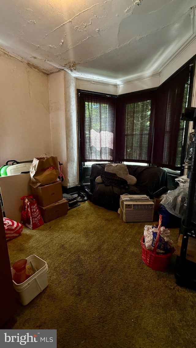 living area featuring carpet flooring