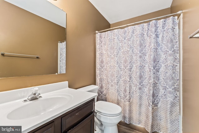bathroom featuring curtained shower, wood finished floors, toilet, and vanity