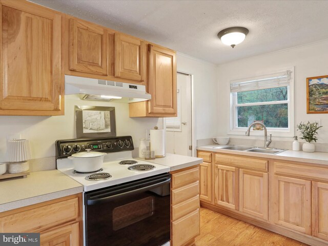 kitchen featuring electric range oven, a sink, light countertops, light brown cabinetry, and under cabinet range hood