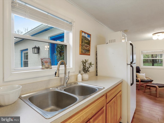 kitchen with crown molding, freestanding refrigerator, a sink, light countertops, and light wood finished floors