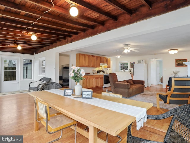 dining room featuring light wood-style flooring, wood ceiling, beam ceiling, and ceiling fan