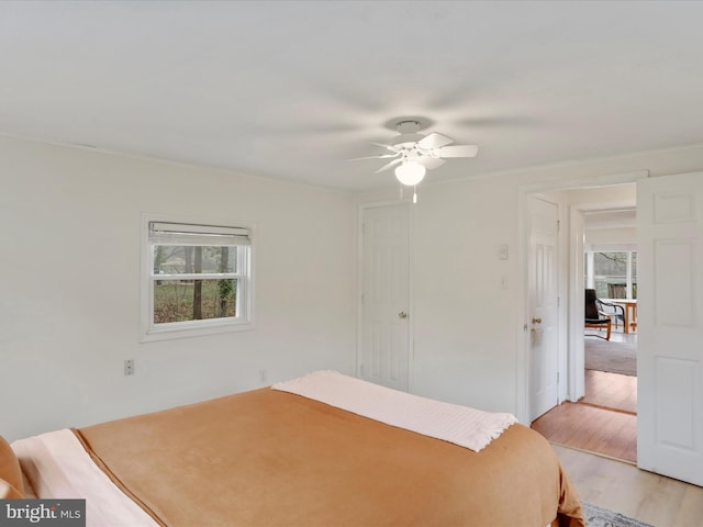 bedroom featuring light wood-style flooring, multiple windows, and a ceiling fan