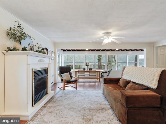 living area with a wealth of natural light, a ceiling fan, wood finished floors, and a glass covered fireplace