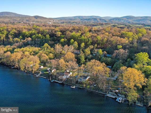 birds eye view of property featuring a forest view and a water and mountain view