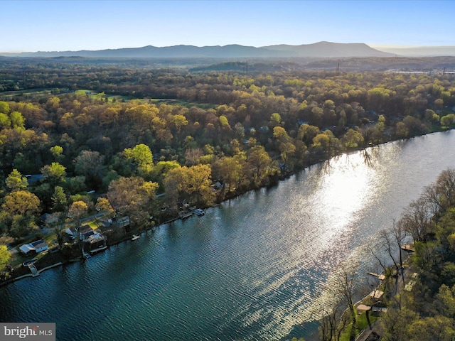 drone / aerial view featuring a water and mountain view and a forest view