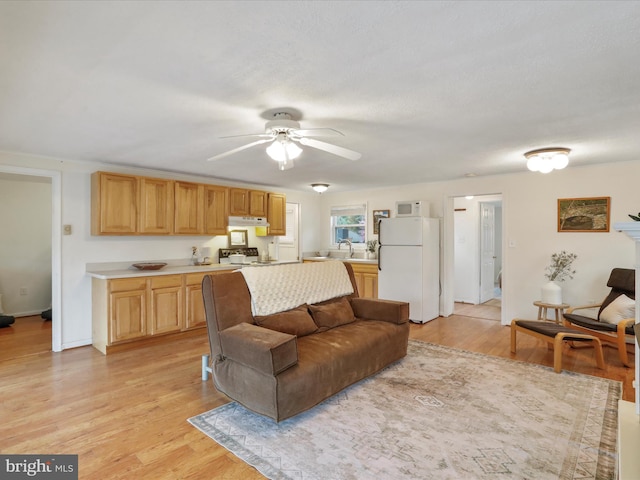 living area featuring baseboards, a ceiling fan, and light wood finished floors