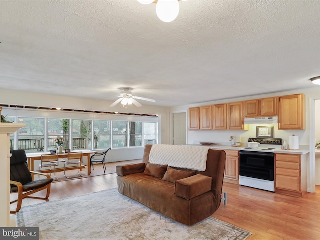 living room featuring light wood-type flooring, a textured ceiling, and ceiling fan