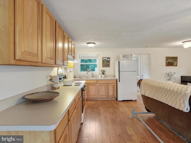 kitchen featuring white appliances, light wood-type flooring, under cabinet range hood, light countertops, and a sink