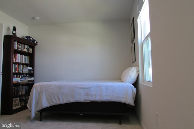 30155 Creekview Cir, Selbyville, DE 19975 - view of carpeted bedroom