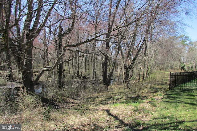 30155 Creekview Cir, Selbyville, DE 19975 - view of nature featuring a view of trees