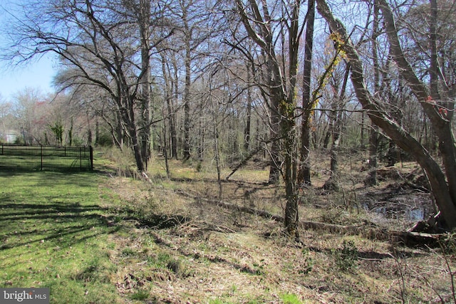 30155 Creekview Cir, Selbyville, DE 19975 - view of local wilderness