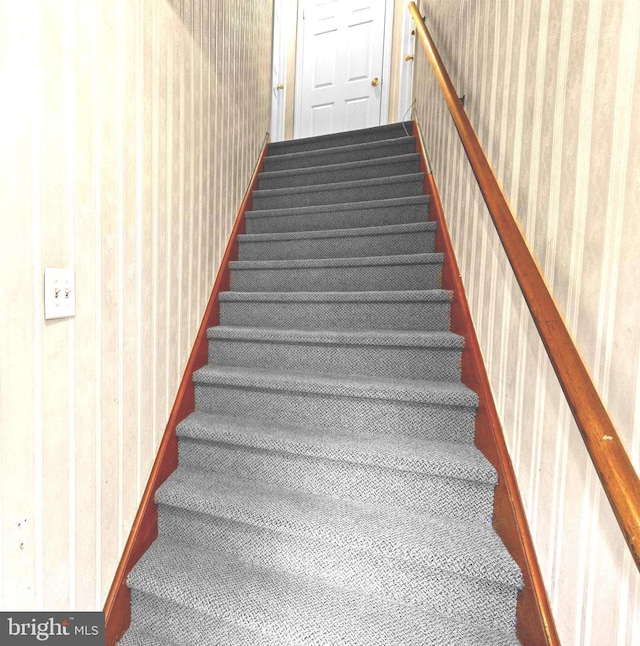 stairway with wallpapered walls and carpet flooring