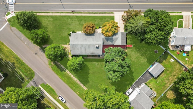 drone / aerial view