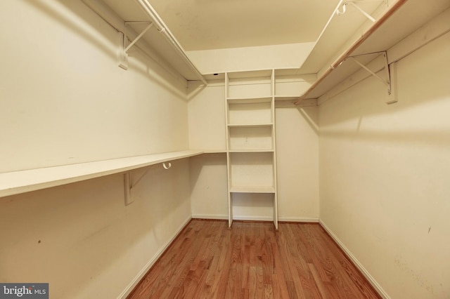 spacious closet featuring wood finished floors