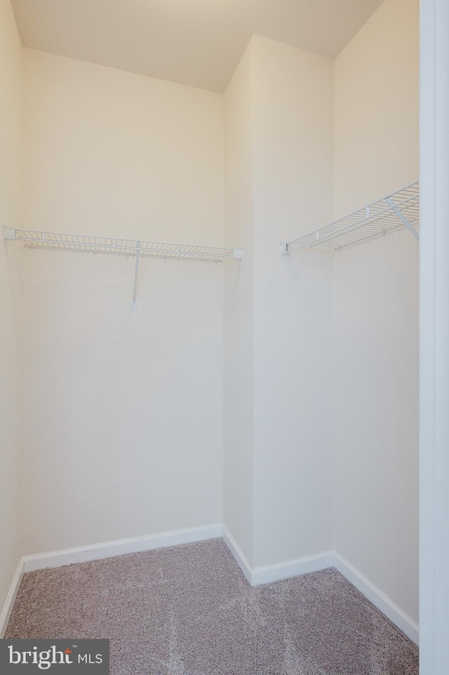 5207 Wyndholme Cir Unit 402, Baltimore, MD 21229 - walk in closet featuring carpet floors