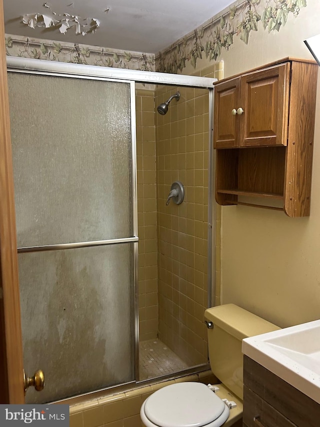 bathroom featuring toilet, a shower stall, and vanity