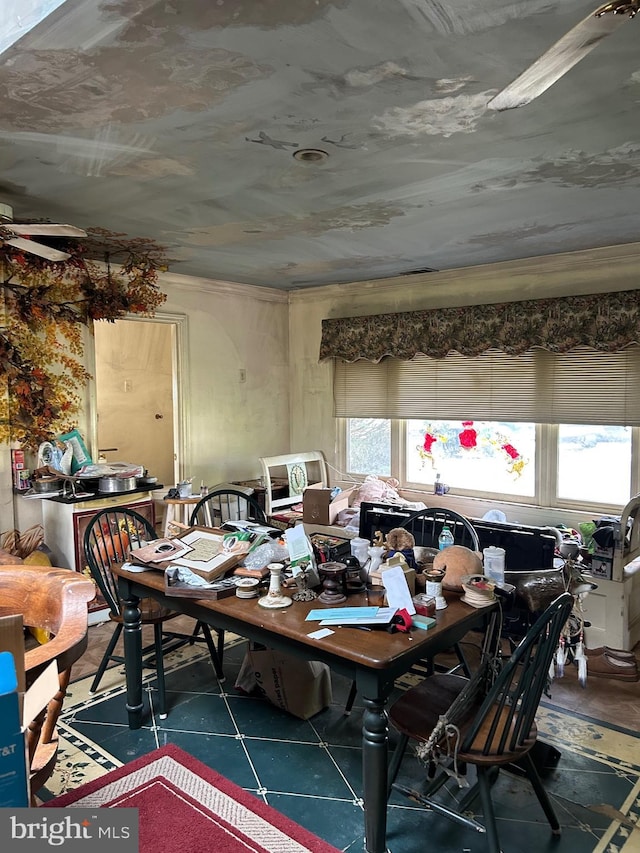 dining room featuring a ceiling fan