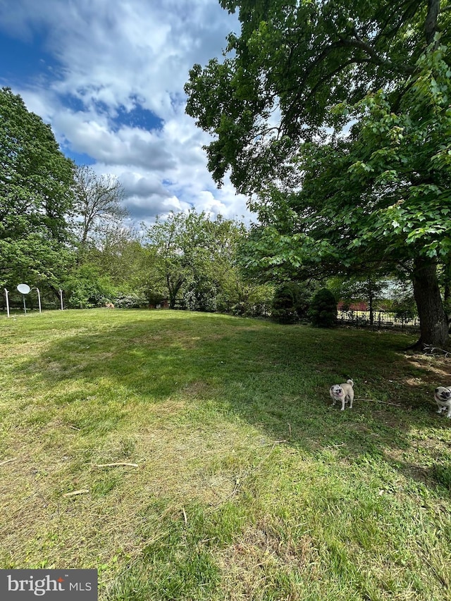 view of grassy yard