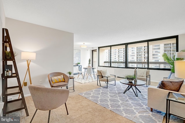 3701 S George Mason Dr Unit 1002N, Falls Church, VA 22041 - carpeted living area featuring baseboards