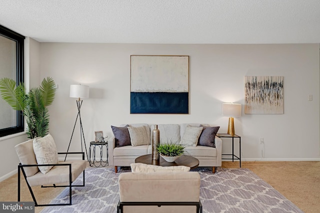 3701 S George Mason Dr Unit 1002N, Falls Church, VA 22041 - living room with baseboards, carpet flooring, and a textured ceiling