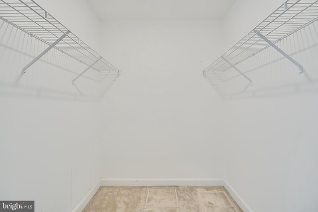 walk in closet with light carpet