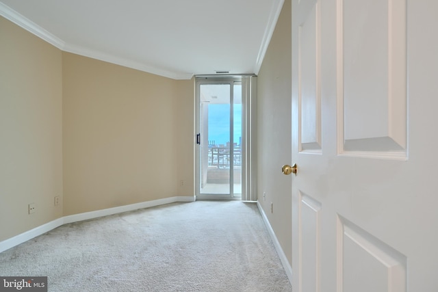 carpeted spare room with crown molding, baseboards, and a wall of windows
