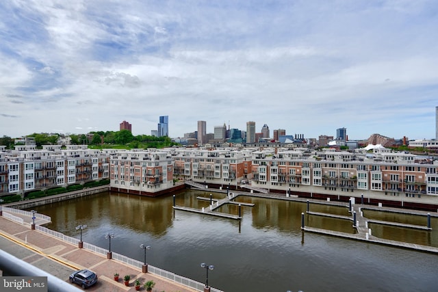 dock area with a water view and a skyline view