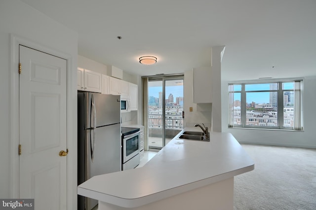 kitchen featuring stainless steel appliances, a sink, healthy amount of natural light, and light carpet