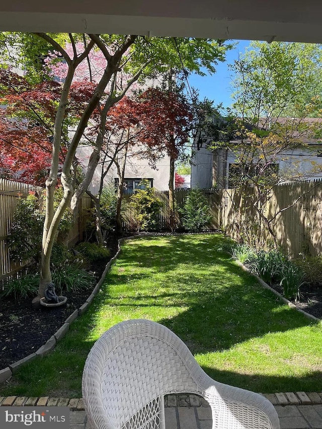 view of yard with a fenced backyard
