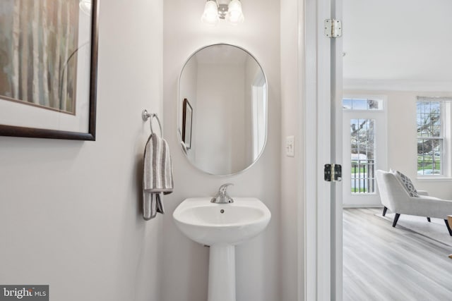 bathroom featuring wood finished floors and crown molding