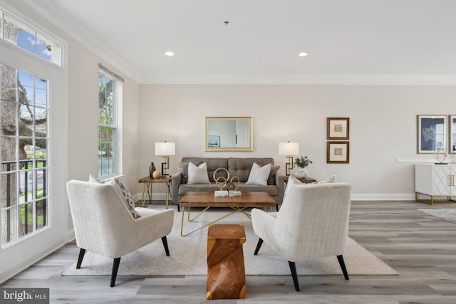 living room with light wood-type flooring, plenty of natural light, baseboards, and crown molding