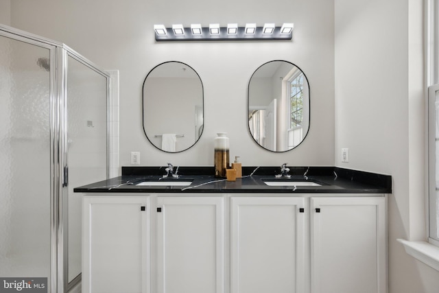bathroom featuring a sink, double vanity, and a stall shower