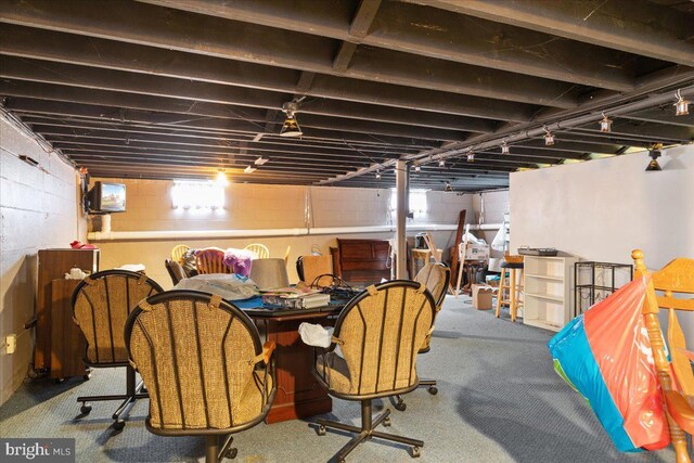 basement featuring carpet floors