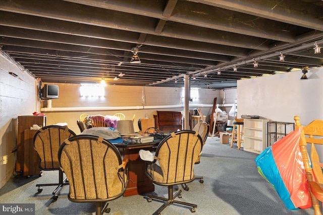 below grade area with carpet flooring