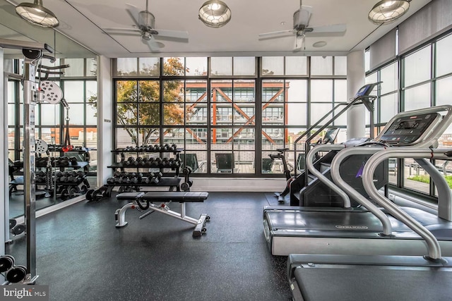 workout area with ceiling fan and plenty of natural light