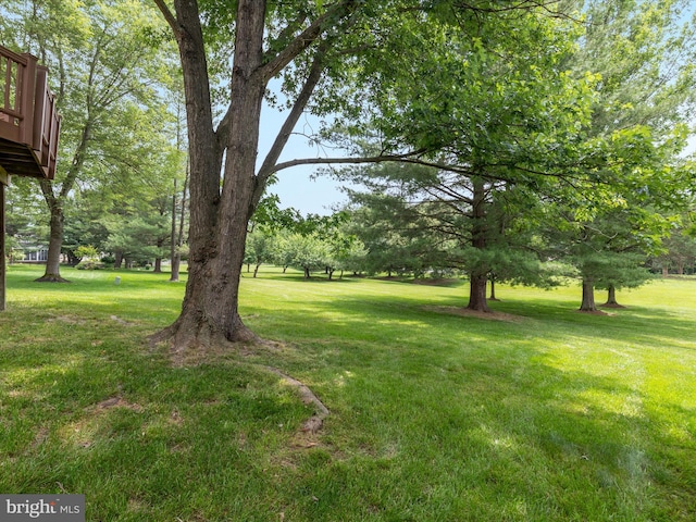 21 Griswold Ct, Sterling, VA 20165 - view of grassy yard