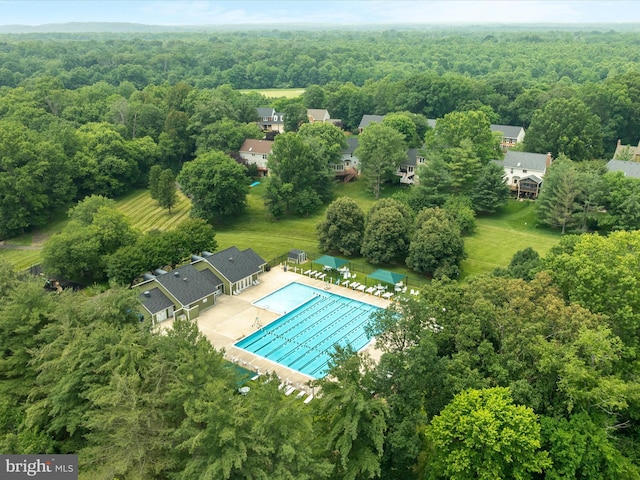 21 Griswold Ct, Sterling, VA 20165 - drone / aerial view of a heavily wooded area and a pool area