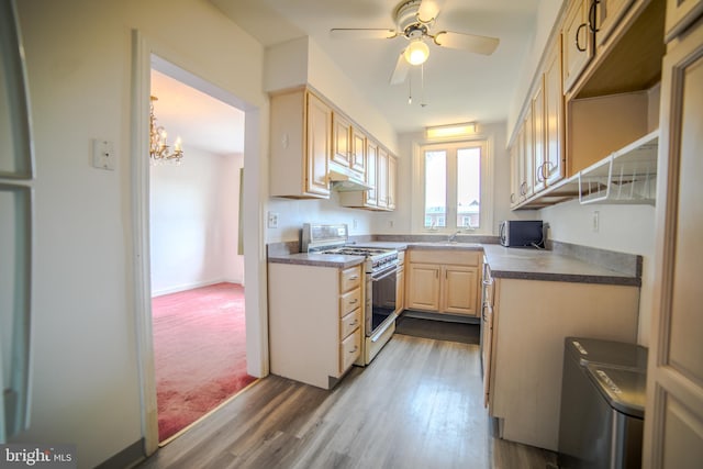 kitchen featuring light brown cabinetry, under cabinet range hood, gas stove, a sink, and dark wood-type flooring