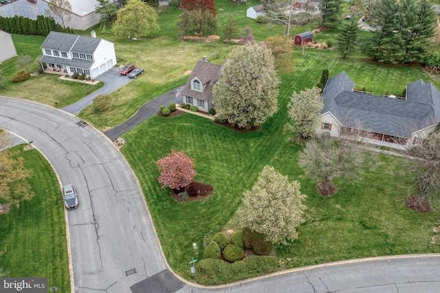 bird's eye view