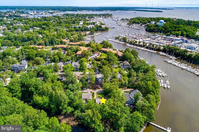 703 Glendon Ave, Annapolis, MD 21403