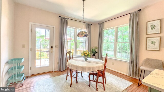 1009 Cadmus Dr, Fredericksburg, VA 22401 - dining room featuring healthy amount of natural light, light wood-style flooring, and baseboards