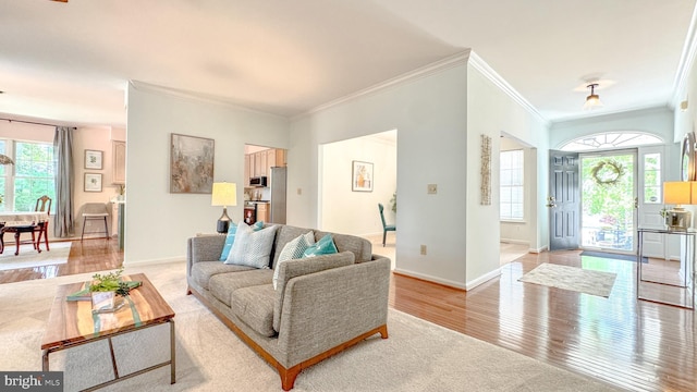 1009 Cadmus Dr, Fredericksburg, VA 22401 - living room with ornamental molding, light wood-style floors, and baseboards