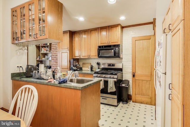 332 13th St SE, Washington, DC 20003 - kitchen featuring black microwave, stainless steel gas range oven, a sink, freestanding refrigerator, and glass insert cabinets