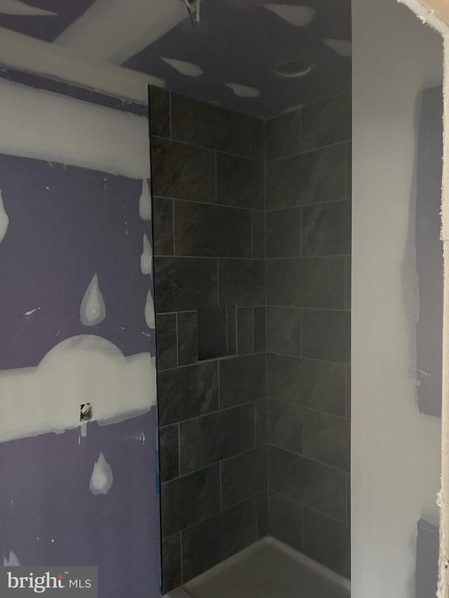 Meadow View Dr, Lost City, WV 26810 - bathroom with tiled shower