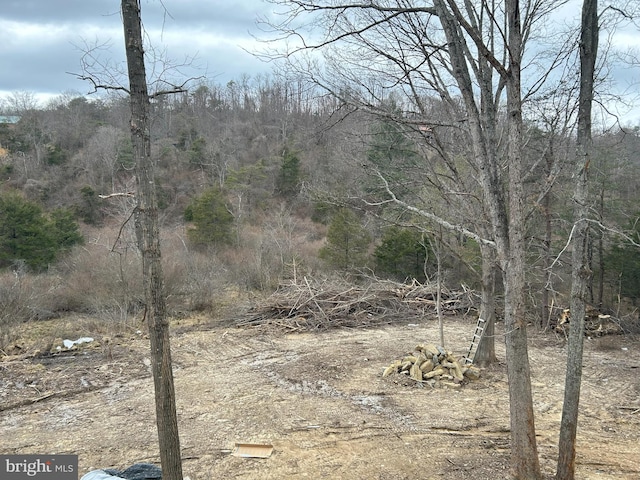 Meadow View Dr, Lost City, WV 26810 - view of undeveloped land