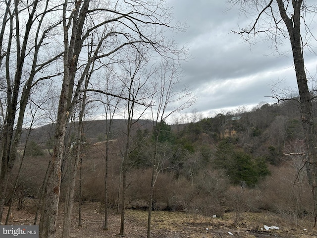 Meadow View Dr, Lost City, WV 26810 - mountain view featuring a heavily wooded area