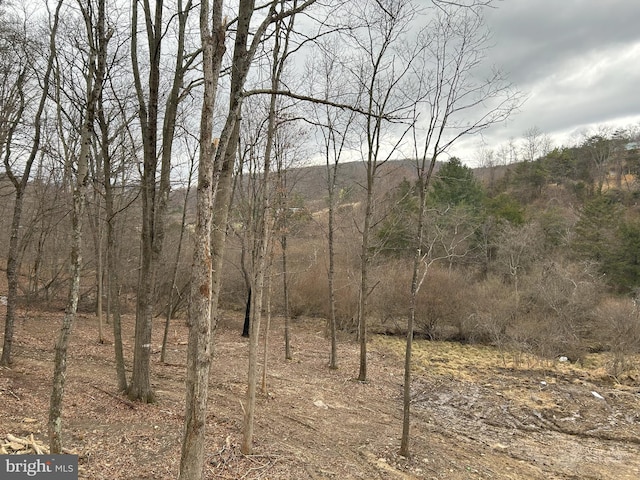 Meadow View Dr, Lost City, WV 26810 - view of local wilderness