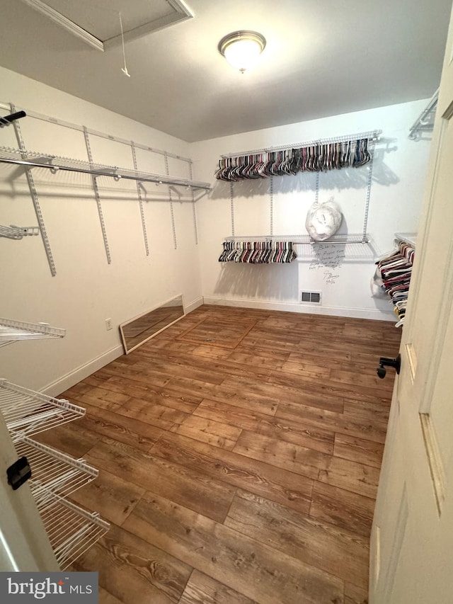 walk in closet with visible vents, attic access, and wood finished floors